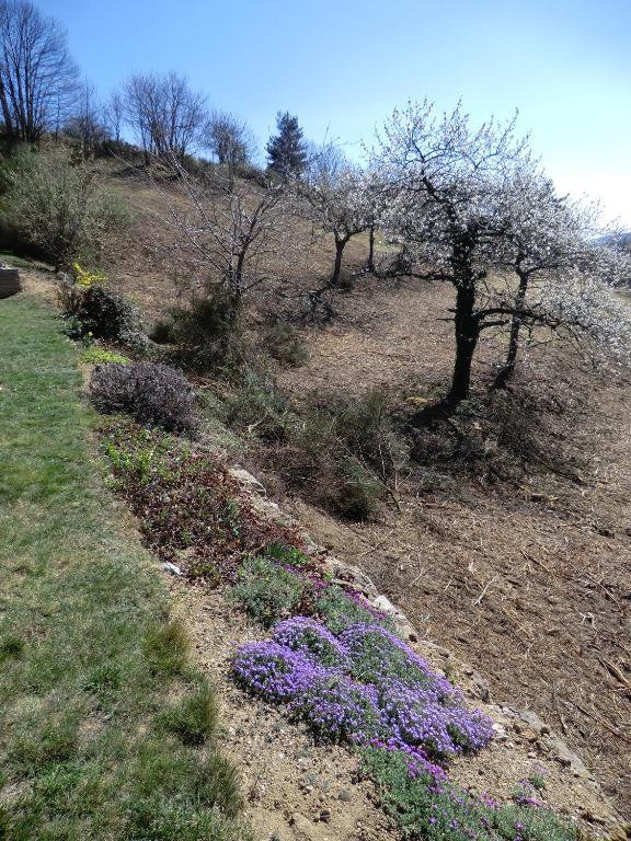 La Bastide De Fontaille Bed & Breakfast Saint-Félicien Dış mekan fotoğraf