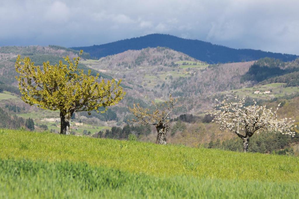 La Bastide De Fontaille Bed & Breakfast Saint-Félicien Dış mekan fotoğraf